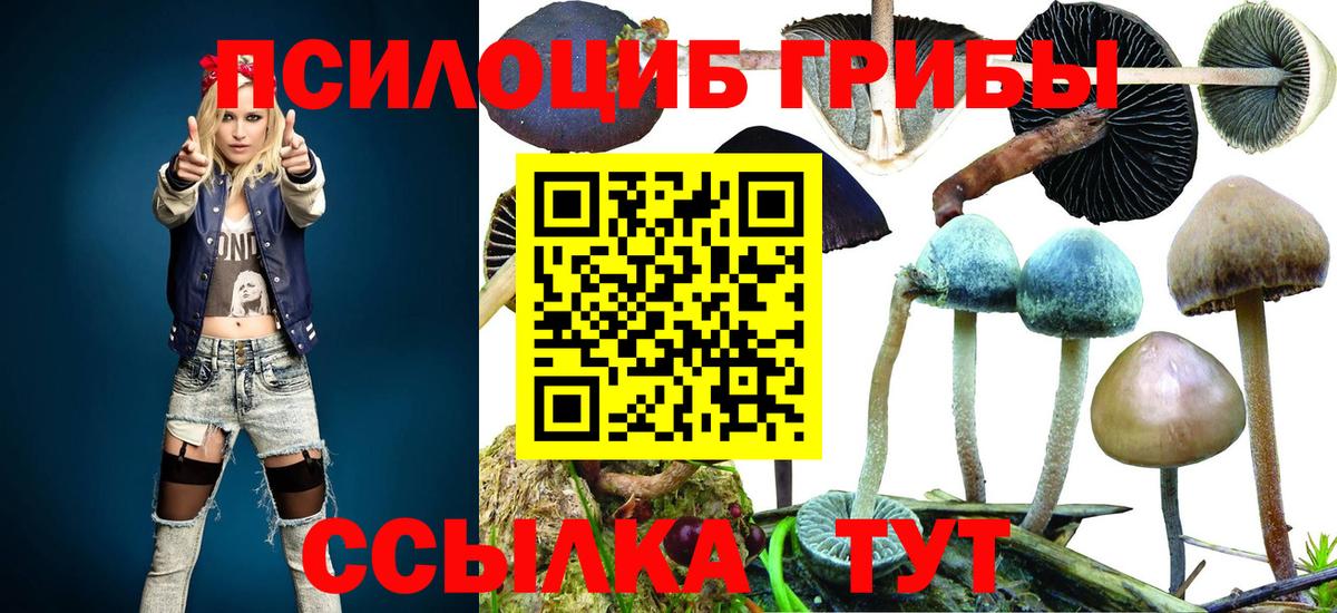Иваново  Галлюциногенные грибы мухоморы  Вход с VPN 